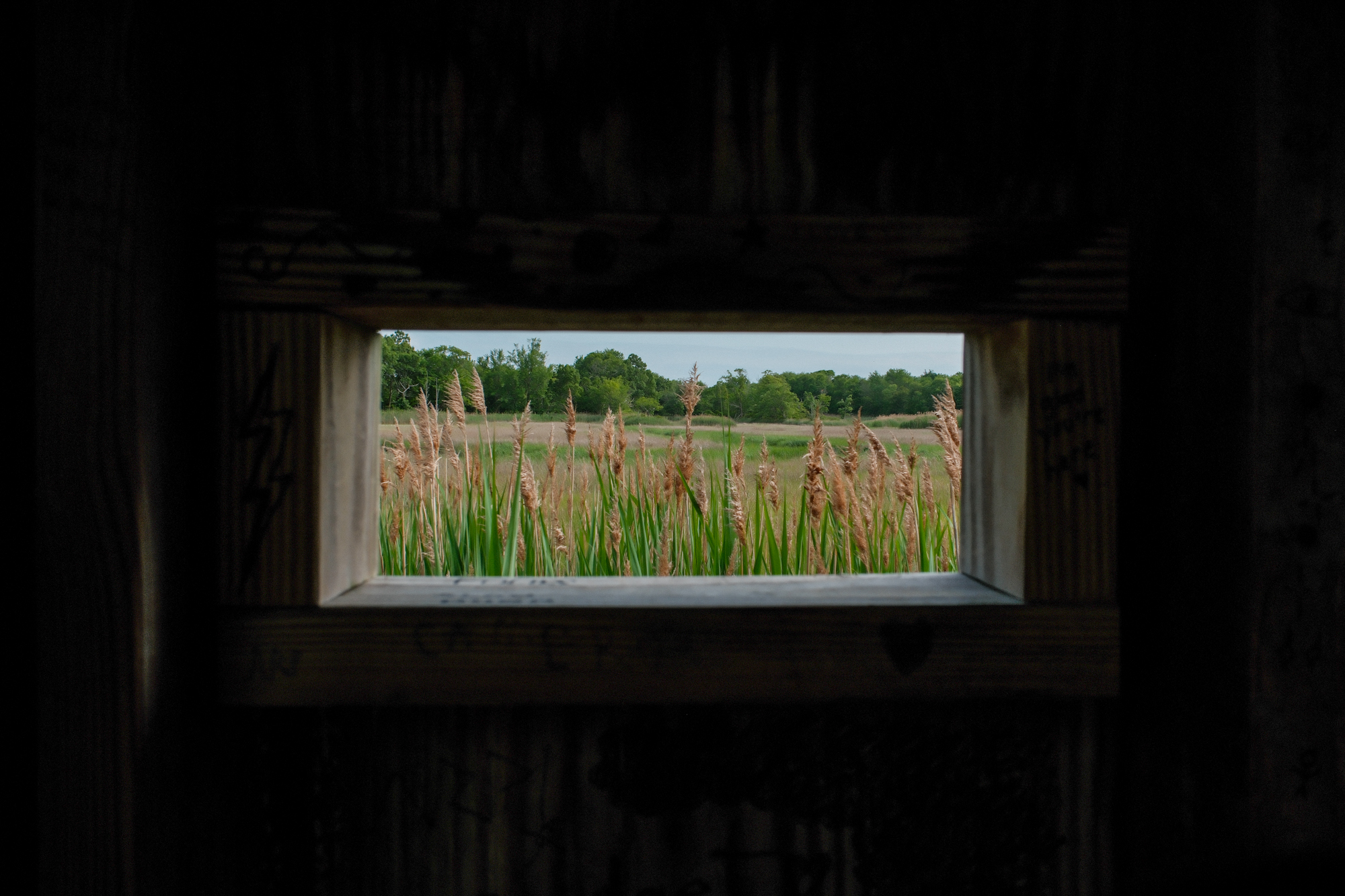 Light, Color, Shape 9